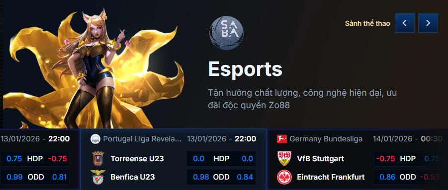  Chọn file cài đặt Zo88